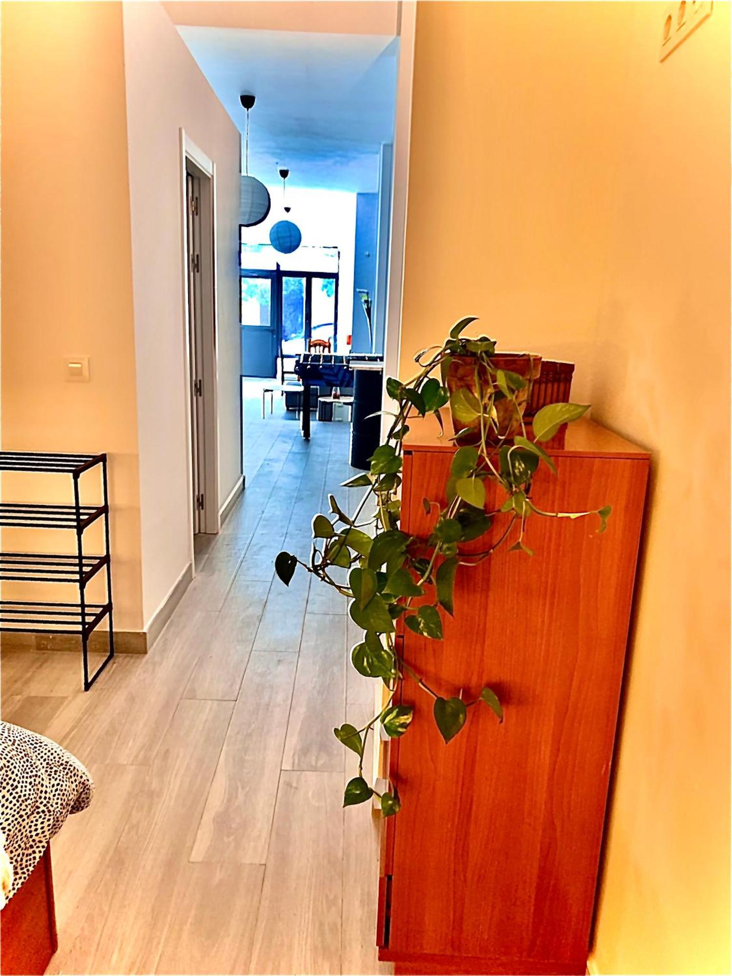 Violeta Loft A With Chill Out Terrace Sevilla מראה חיצוני תמונה